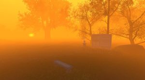 Step into Serenity: Exploring the Philosophy of the Tranquil Gardens